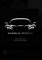 PICARELLA GROUP S.R.L.