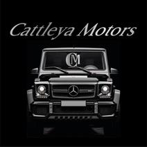 CATTLEYA MOTORS DI CARAVOTTA PINO