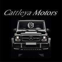CATTLEYA MOTORS DI CARAVOTTA PINO