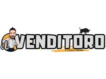 IL VENDITORO DI DANIELE TERRANA