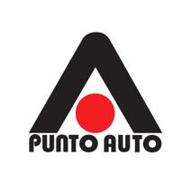 PUNTO  AUTO SRL