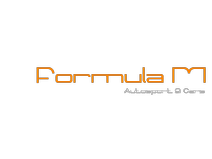 FORMULA M SRL