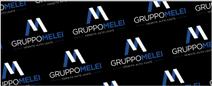 GRUPPO MELEI SOCIETA' A RESPONSABILITA' LIMITATA S