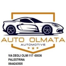 AUTO OLMATA SOCIETA' A RESPONSABILITA' LIMITATA SEMPLIFICATA