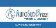 BRIZZI FERDINANDO & C. S.N.C.