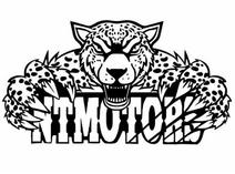 NT MOTORS