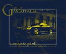 Group ama italia srl