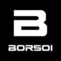 BORSOI S.R.L.