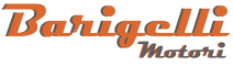 BARIGELLI MOTORI SRL