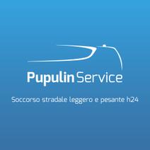 PUPULIN SERVICE S.R.L.