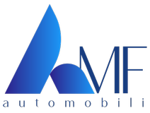 AMF SOCIETA' A RESPONSABILITA' LIMITATA SEMPLIFICATA