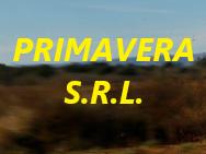PRIMAVERA S.R.L.