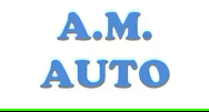 A.M. AUTO TORINO