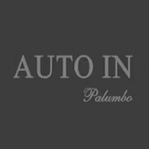 AUTO IN SOCIETA' A RESPONSABILITA' LIMITATA SEMPLIFICATA