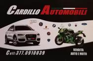 CARDILLO MARIO