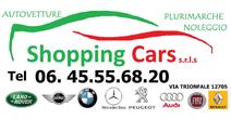 SHOPPING CARS 2012 DI PAOLO PRIORI