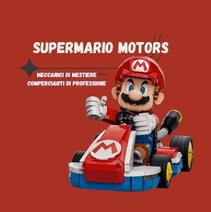 SUPERMARIO MOTORS S.R.L. SEMPLIFICATA
