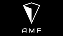 AMF DI FABRIS ALESSANDRO