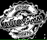 AUTOVAMM STORE USATO