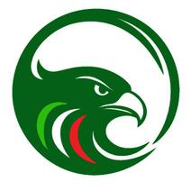 Falkomedia