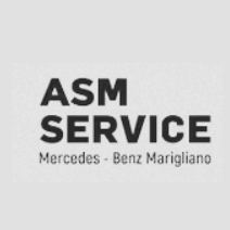 ASM SERVICE SRL
