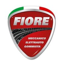 FIORE RAFFAELE GIOVANNINO