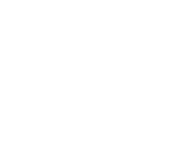 EVOLUTION CAR S.R.L.