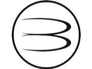 BLU CAR GROUP SRL