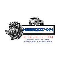 NEBRODI 4X4 DI GUGLIOTTA A. & D. S.R.L.S.