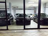 BIANCHINI AUTO SRL