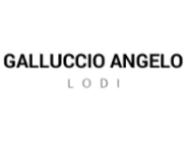 GALLUCCIO ANGELO SRL