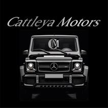 CATTLEYA MOTORS DI CARAVOTTA PINO