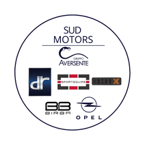 SUD MOTORS S.R.L.
