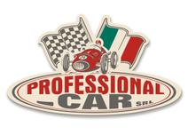 PROFESSIONAL CAR  SRL