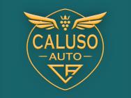 CALUSO AUTO SRL