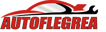 AUTO FLEGREA SRL