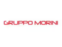 Gruppo Morini