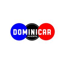 DOMINICAR S.R.L.S.