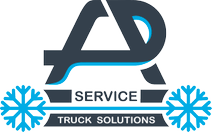 A.P. SERVICE SRLS