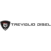 TREVIGLIO DISEL S.R.L.
