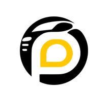 GRUPPO PALMIERI S.R.L.