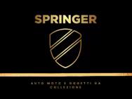 SPRINGER SRLS