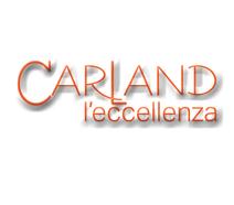 CARLAND SRL a Foiano Della Chiana le offerte del concessionario