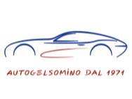 AUTOGELSOMINO GROUP SRL