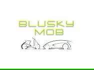 BLUSKY MOB SRL