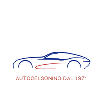 AUTOGELSOMINO GROUP SRL
