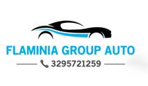 FLAMINIA GROUP SOCIETA' A RESPONSABILITA' LIMITATA SEMPLIFICATA