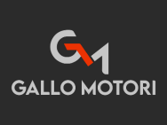 GALLO MOTORI SRLS
