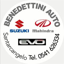 BENEDETTINI AUTO S.R.L.S.