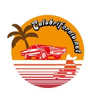 CALABRIFORNIA SOCIETA' A RESPONSABILITA' LIMITATA SEMPLIFICATA